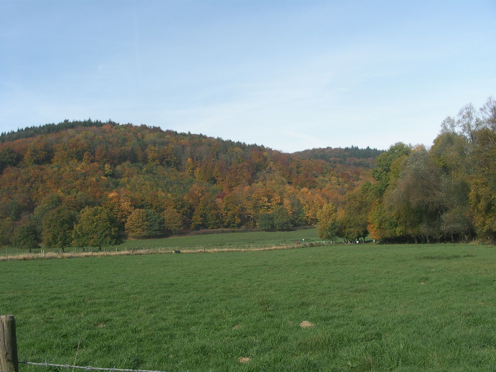 Maria Laach Surroundings